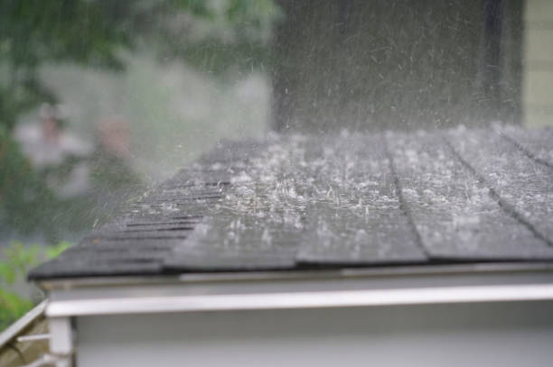 Best Roof Coating and Sealing  in Byrdstown, TN